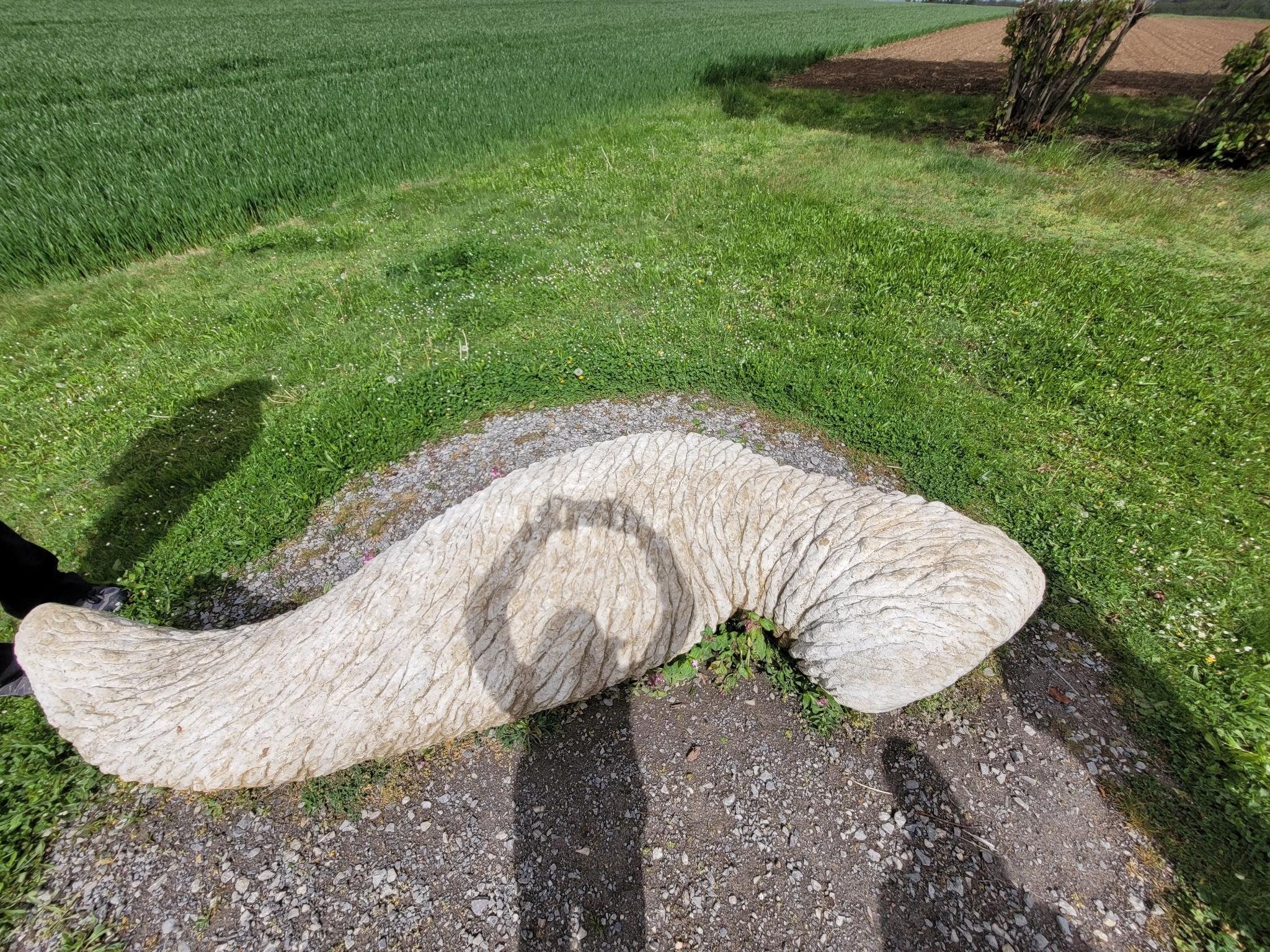 2024 04 21 141020 007